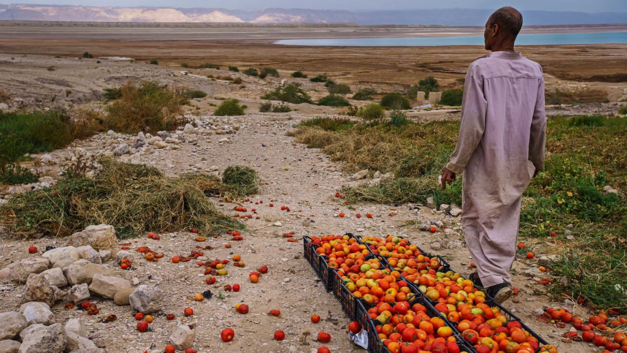 A tomato farmer looks off towards an area where the Dead Sea has receded in Ghor Haditha, Jordan, on April 10, 2021.