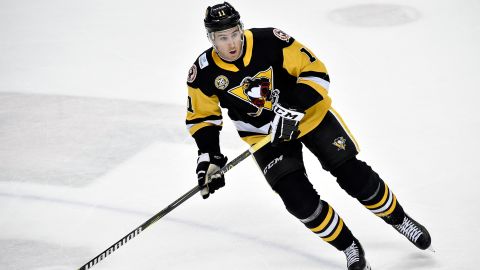 Hayes last played professionally in the 2018-19 season, when he represented the Wilkes-Barre/Scranton Penguins of the American Hockey League.