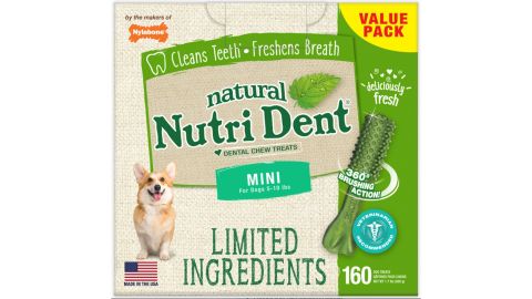 Nylabone Nutri Dent Limited Ingredients Fresh Breath Natural Mini Dental Dog Treats 160 Count