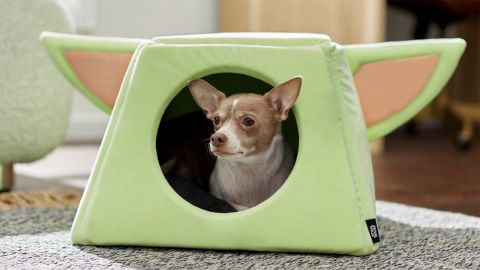 Star Wars The Mandalorian's The Child Covered Cat & Dog Bed