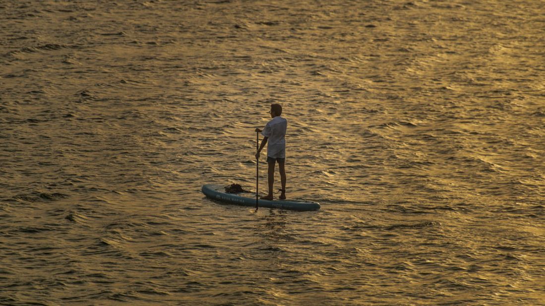 <strong>Paddle safari:</strong> The mangroves of Al Thakira are perfect for exploring on a standup paddle board. 