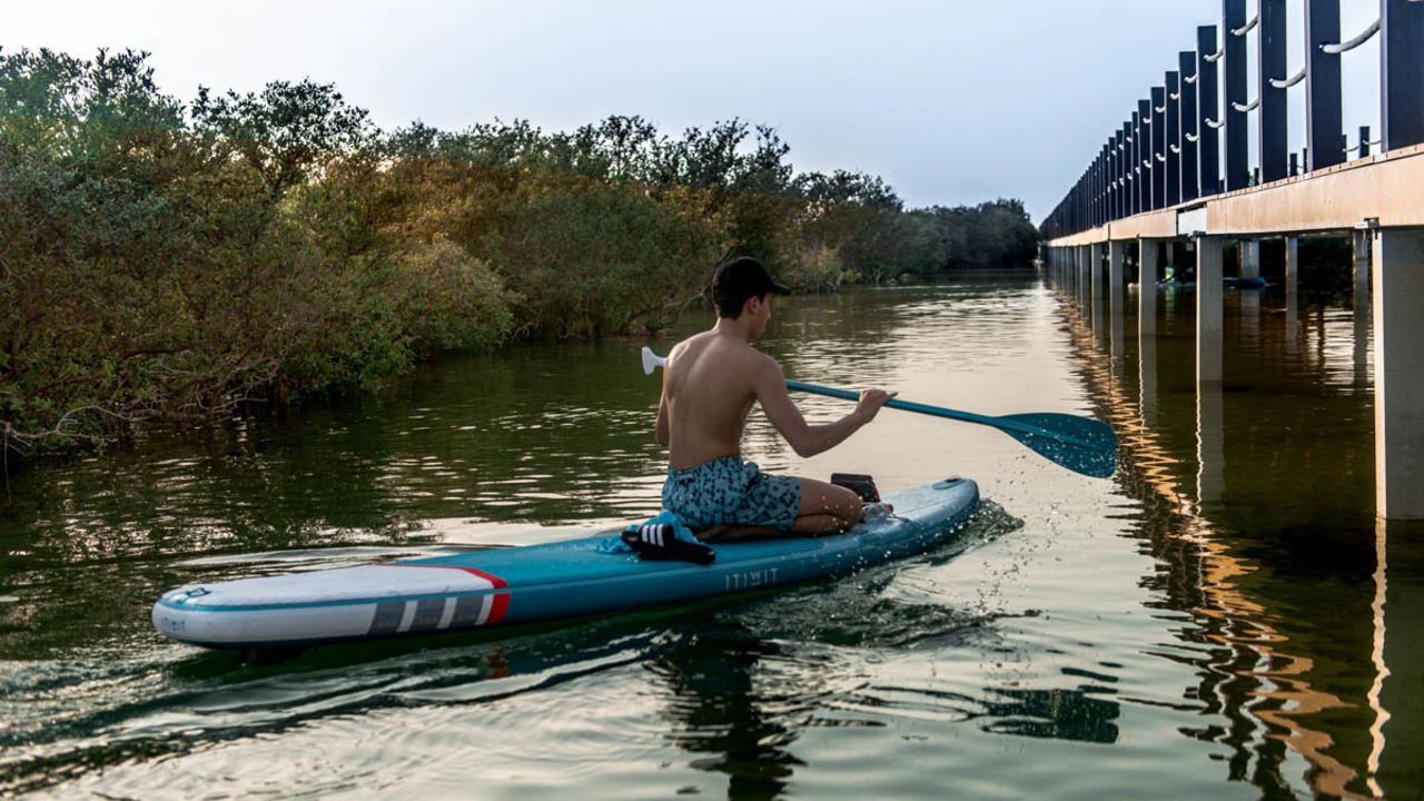 Kayaks or stand-up paddleboards are a great way to explore the mangroves. 