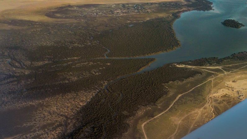 <strong>Biodiversity: </strong>Qatar's mangrove forest sits at the edge of its huge desert, offering rare biodiversity in the harsh environment.