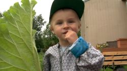 TikTok Viral Veggie Kid 1