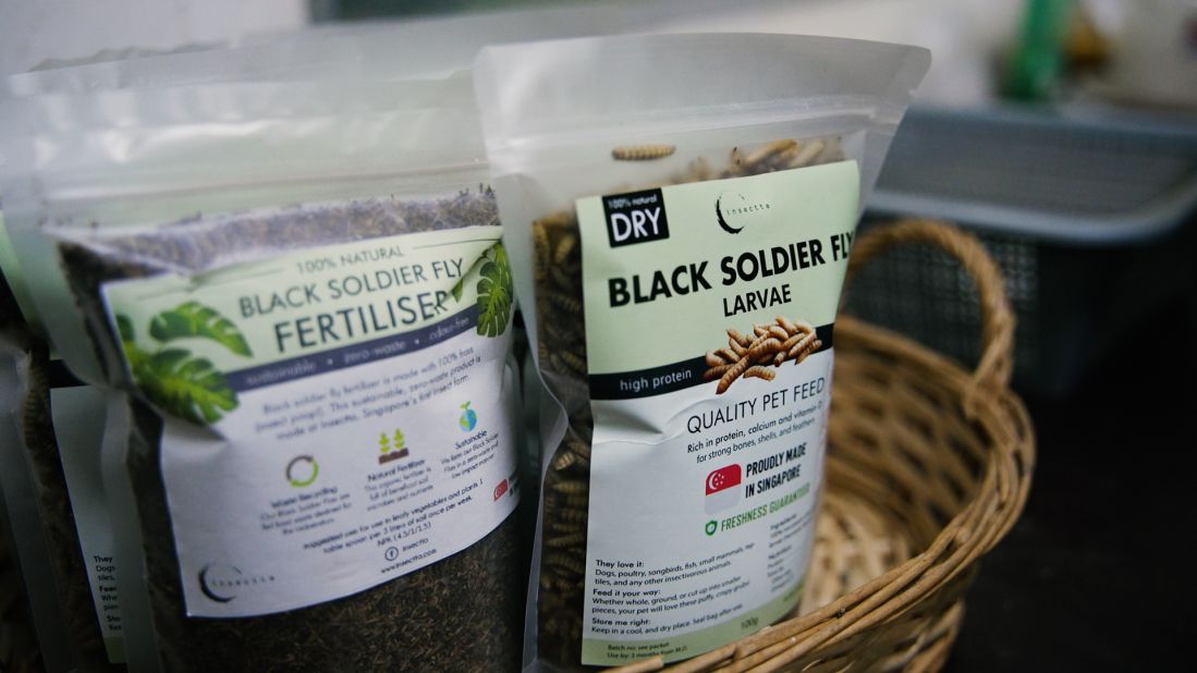 Singapore-based Insectta uses black soldier fly larvae to convert food waste into fertilizer and animal feed (pictured). Now, the startup is developing a method to extract high-value biomaterials like chitosan and melanin from the black soldier flies. 