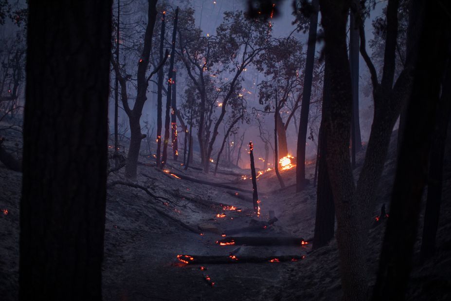 The French Fire continues to spread near Wofford Heights, California, on August 25.