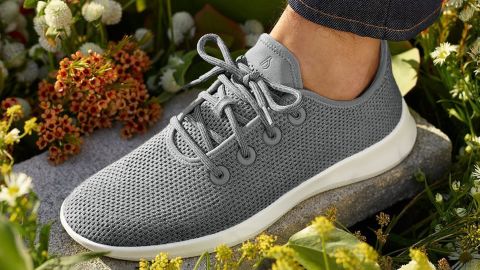 Allbirds Tree Runners