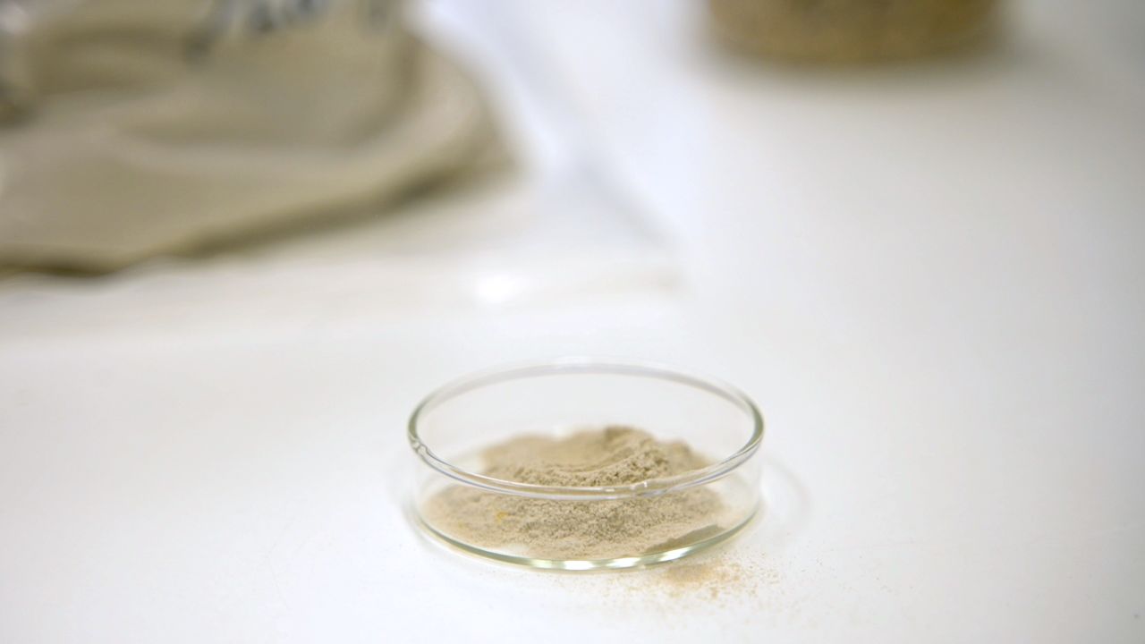 The first products made with Insectta's chitosan are currently in development. Chua says the startup is now looking for further collaborations within the cosmetic and pharmaceutical industries.