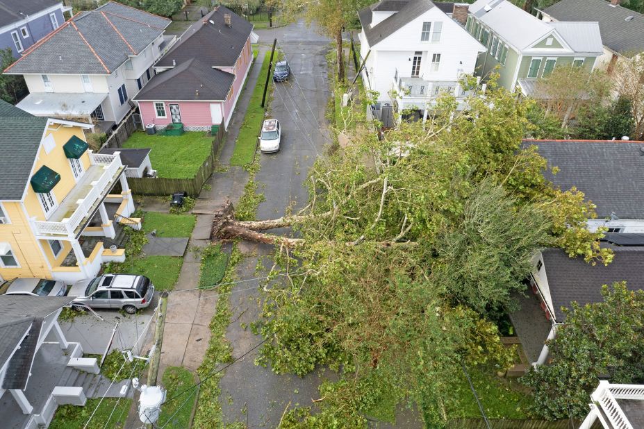 A downed tree lies on a house in New Orleans on August 30.