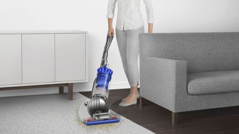 Dyson Ball Animal 2