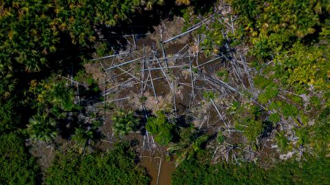An aerial view of a deforested area in the municipality of Melgaco in Brazil's Para State, Brazil, on July 30, 2020.