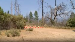 Trails and campgrounds in a remote area near Yosemite National Park have been closed by the US Forest Service due to "unknown hazards found in and around the Savage Lundy Trail" where a young family and their dog were mysteriously found dead earlier this month.