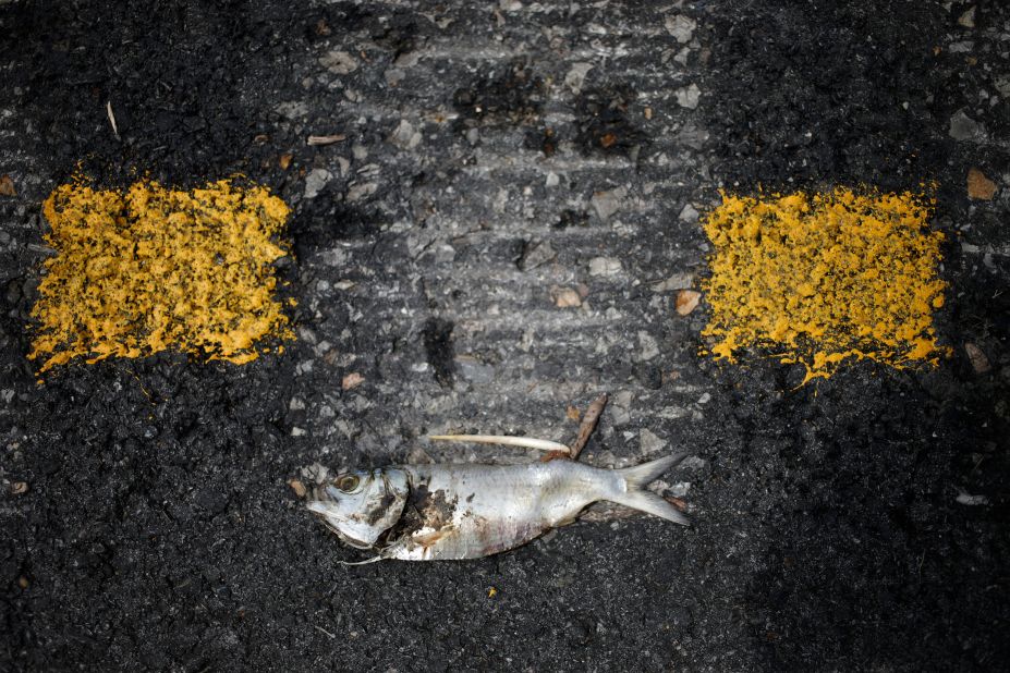 A dead fish lies on a road in Leeville, Louisiana, on August 31.