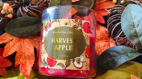 Opalhouse 15.1-Ounce Lidded Glass Jar 2-Wick Harvest Apple Candle