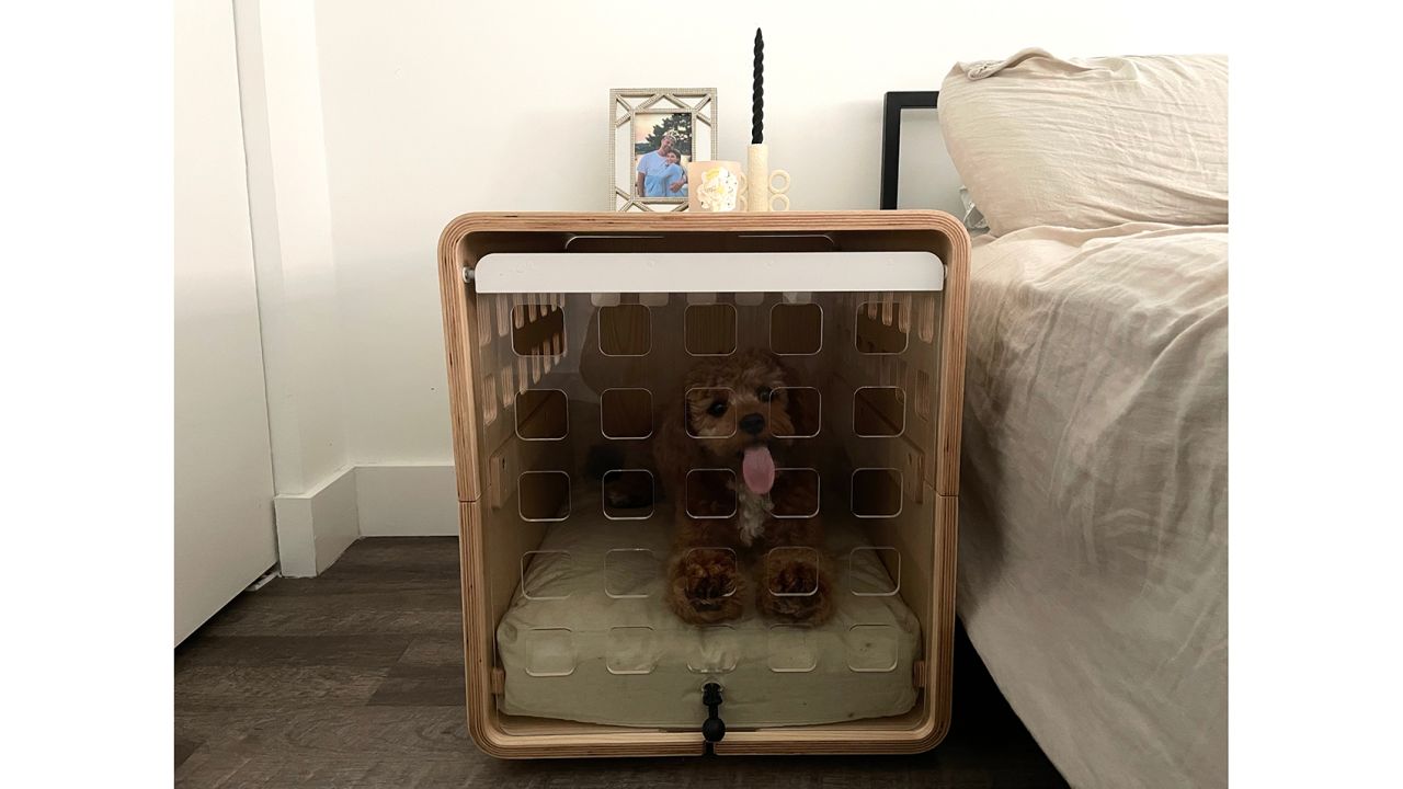 Fable Acrylic Crate