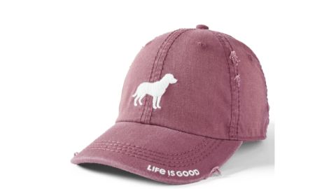 Dog Silhouette Sunwashed Chill Cap