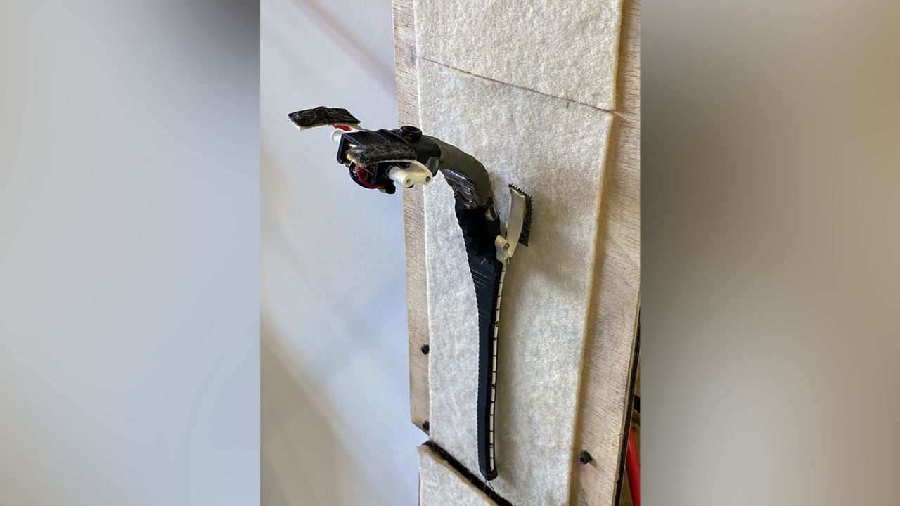 The researchers say the study's finding could help the field of robotics.