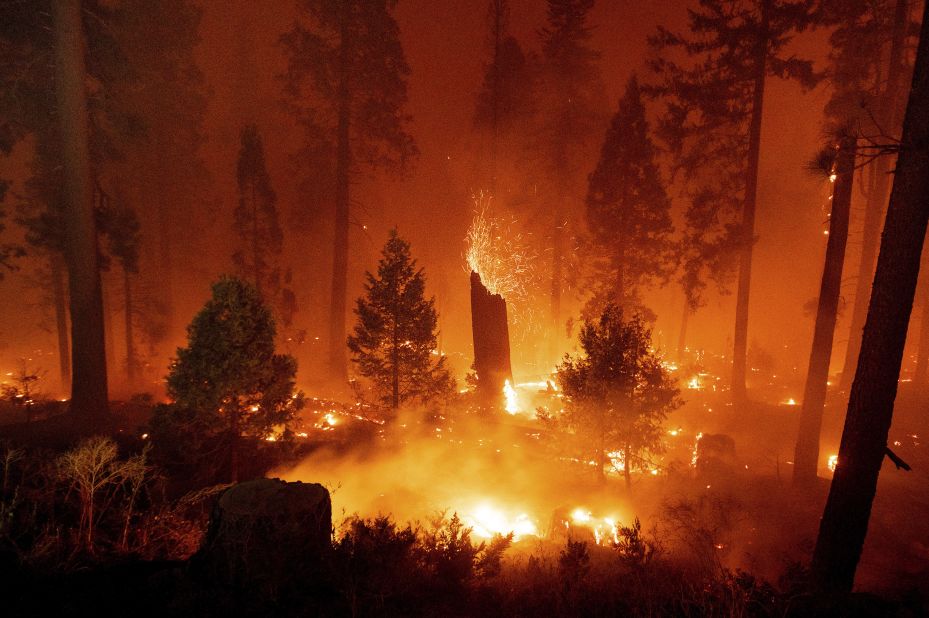 Embers fly from a tree as the Caldor Fire burns along Highway 50 in California's Eldorado National Forest.