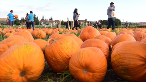 People shop for pumpkins from the pumpkin patch at Cal Poly Pomona in California. Fall activities can often reconnect people with their childhoods, making people crave the season.