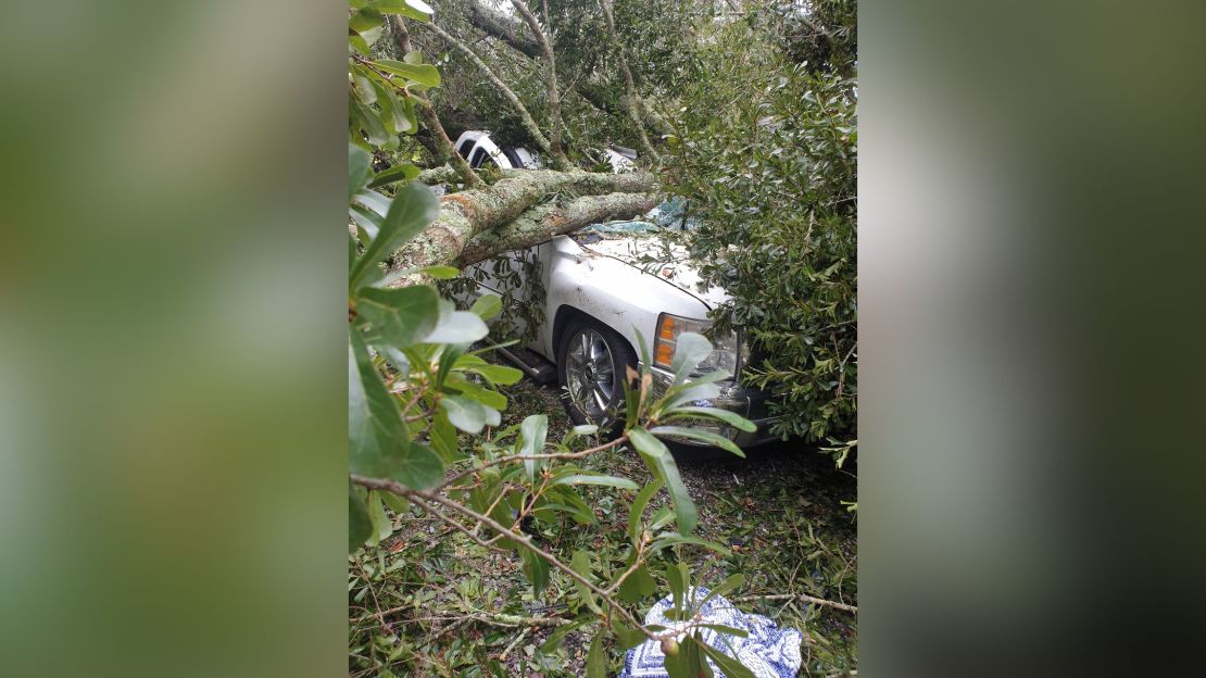 A photo taken by Dennis Duplessis' family shows how the tree crushed a truck that Duplessis was stepping out of when he was crushed.