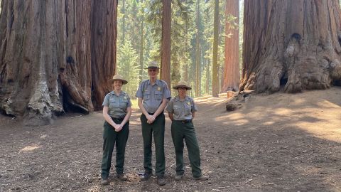 From left, Rebecca Paterson, Superintendent Clay Jordan and Christy Brigham from Sequoia & King Canyons National Parks near monarch giant sequoias. 