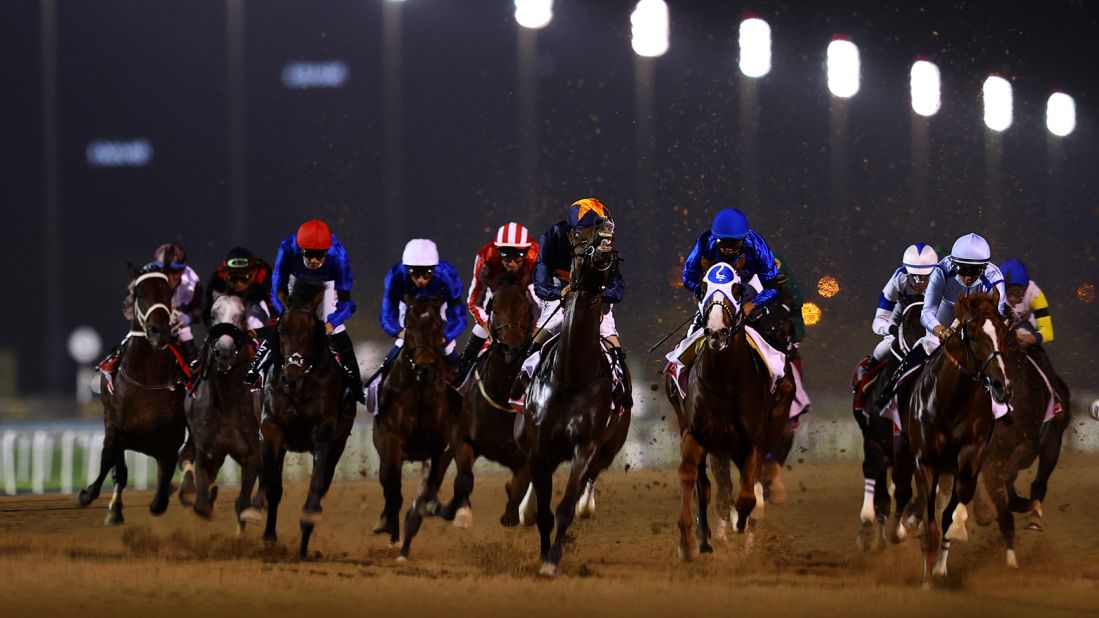 <strong>Trot off to the races: </strong>Situated 10 minutes from the Dubai World Trade Centre, <a href="https://www.dubairacingclub.com/index.php/visit-us" target="_blank" target="_blank">Meydan Racecourse </a>is the home of horse racing in the city. 