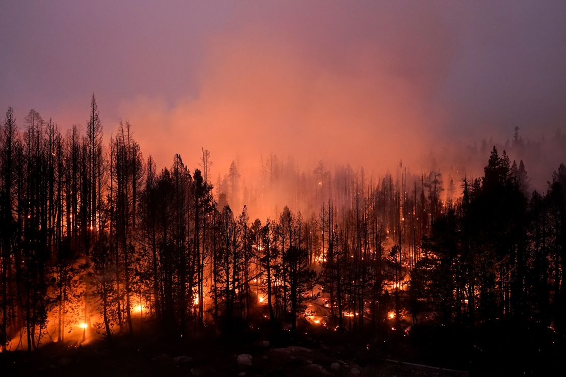 Trees scorched by the Caldor Fire smolder in Eldorado National Forest, California, Friday, September 3, 2021. 