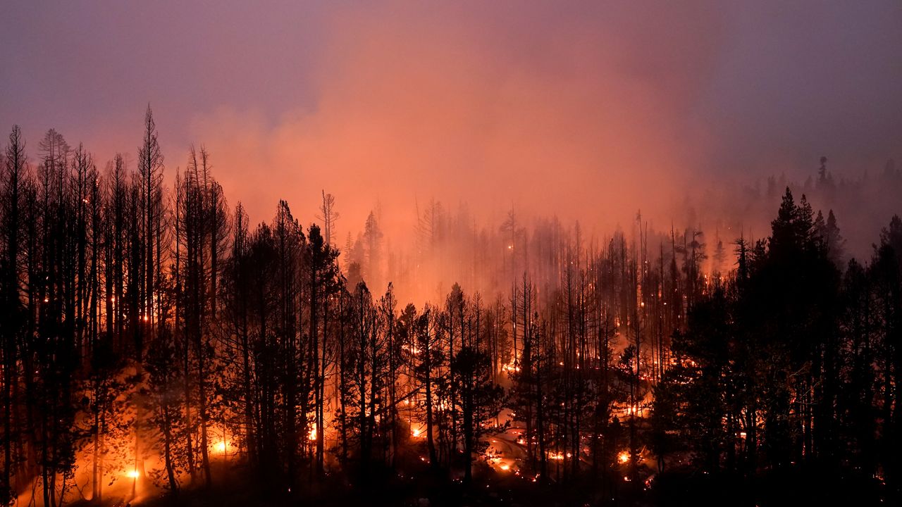Trees scorched by the Caldor Fire smolder in Eldorado National Forest, California, Friday, September 3, 2021. 