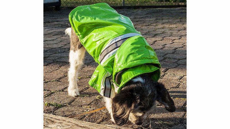 Dog Raincoat Dog Rain Jacket with Strip Reflective and Leash Hole,Small Dog Raincoats for Small Dogs,Dog Rain Coats for Dogs Waterproof S Green