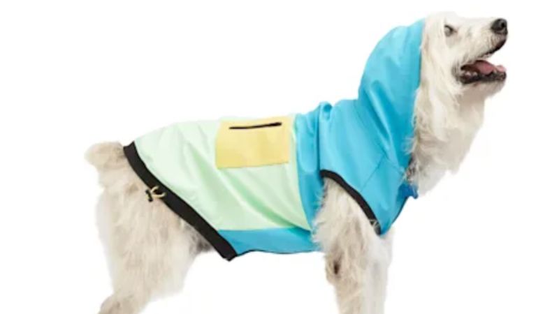 petsmart raincoat dog