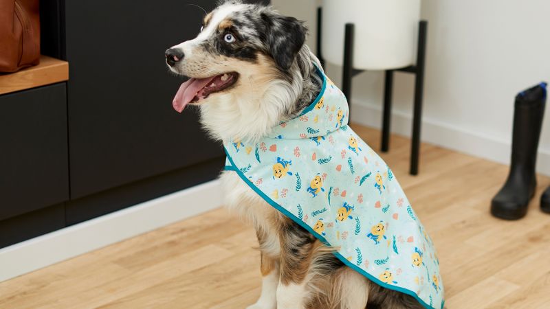 Best dog outlet raincoat with hood