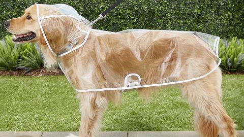 Frisco Clear Dog Raincoat 