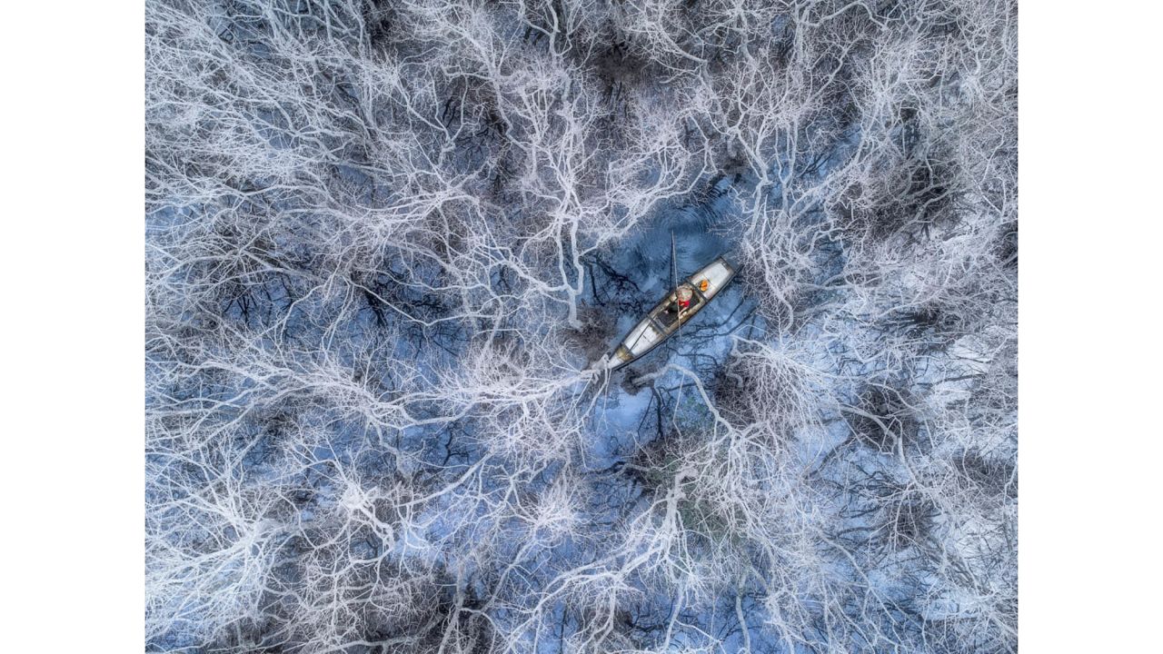 Trung Pham Huy of Vietnam won the People category with this image of a fisherman in a mangrove forest.