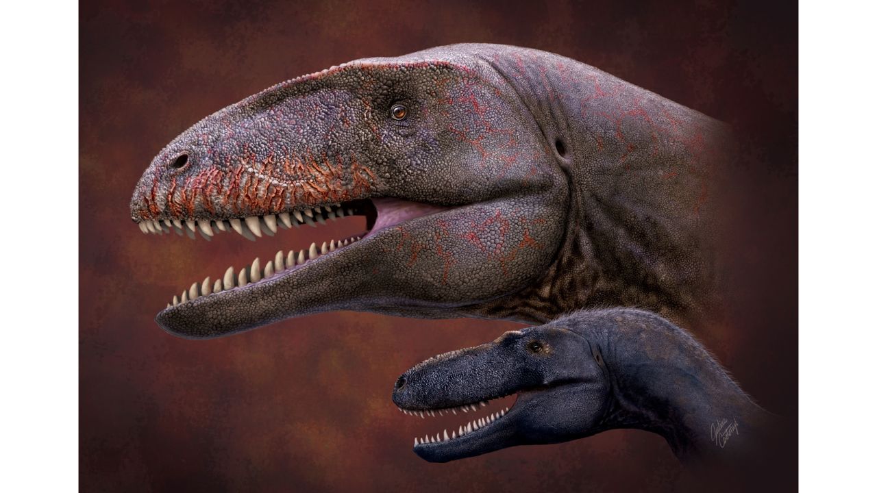 Ulughbegsaurus would have shared its world with a small species of tyrannosaur called Timurlengia, pictured in this illustration.