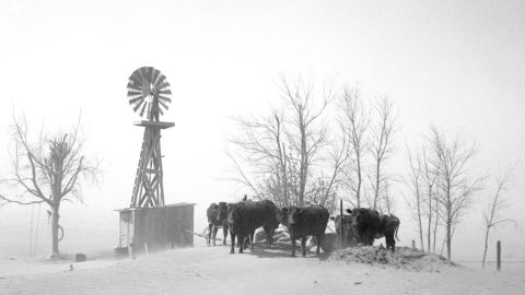 A livestock watering hole almost completely covered by shifting topsoil, in Cimarron County, Oklahoma, in the Dust Bowl year of 1936.