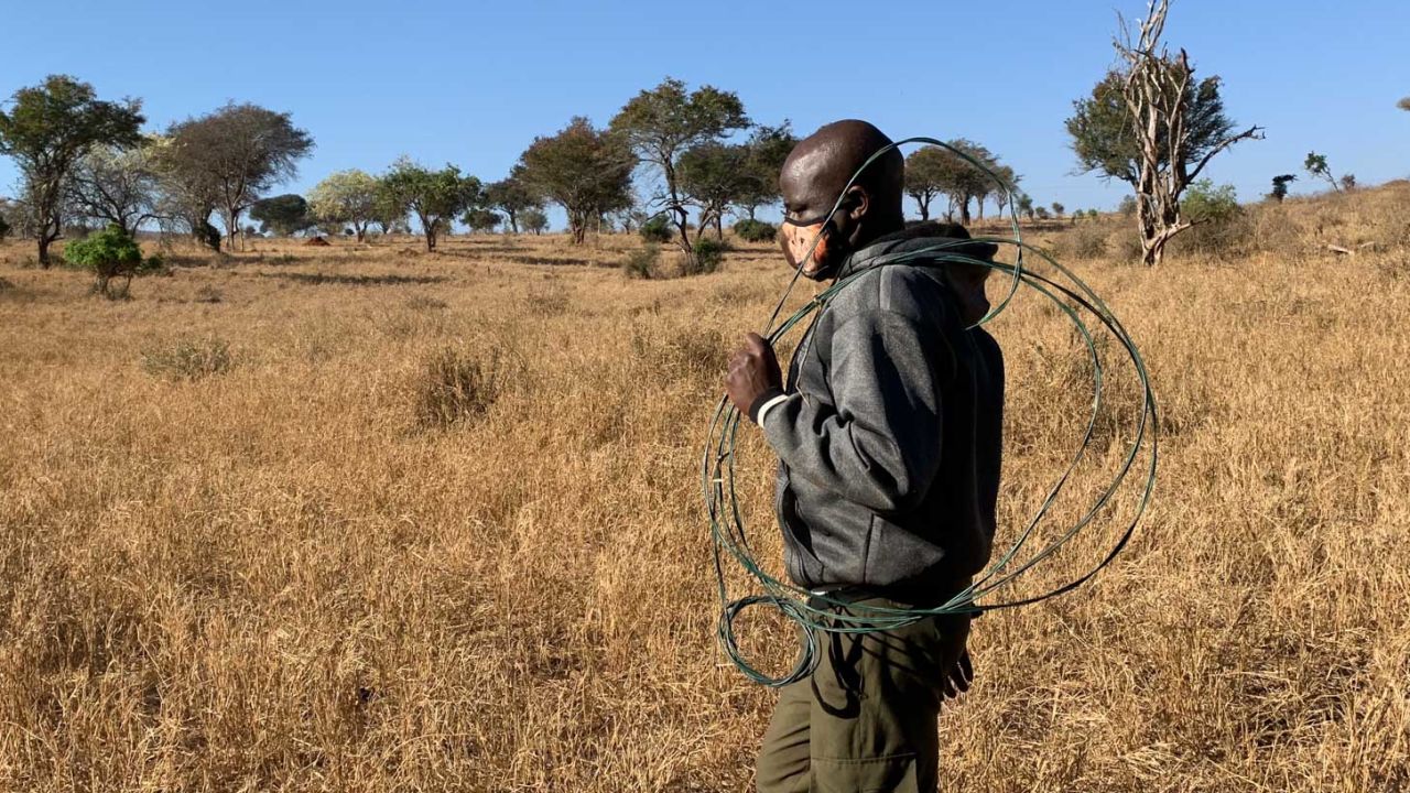 A ranger at Taita hils with a snare left by poachers