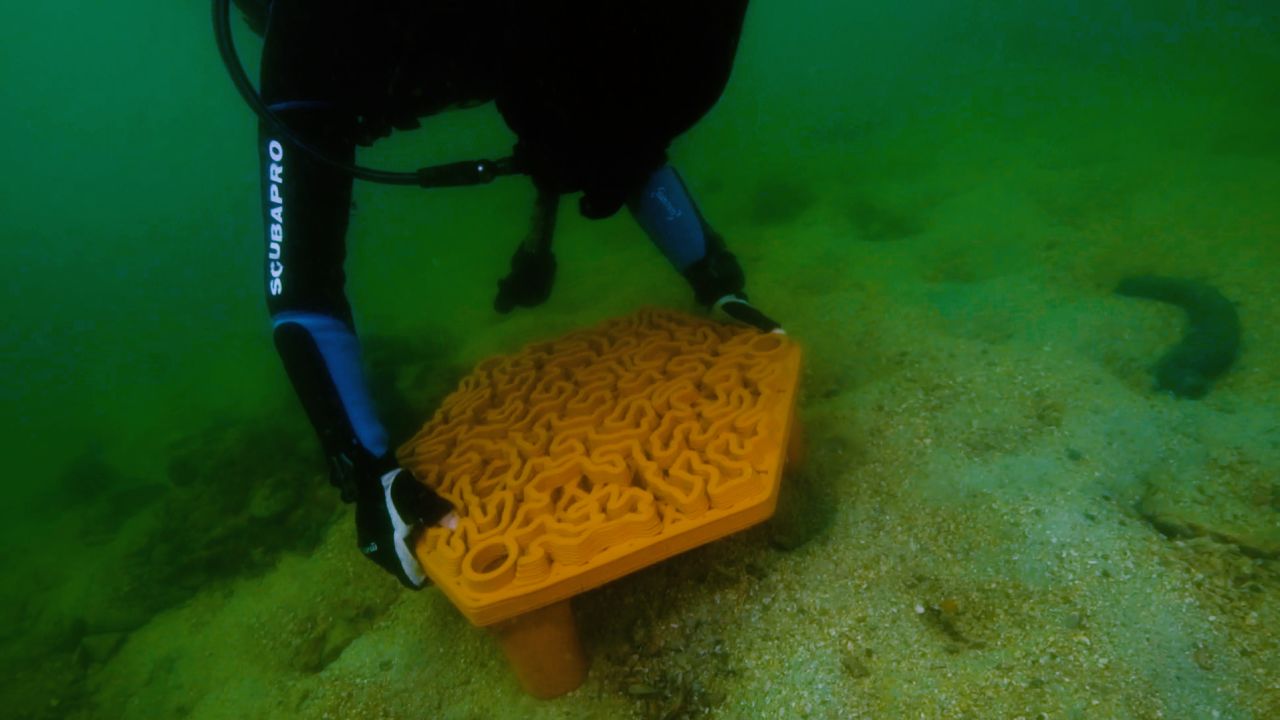 A diver positioning a 3D-printed terracotta tile on the sea floor.