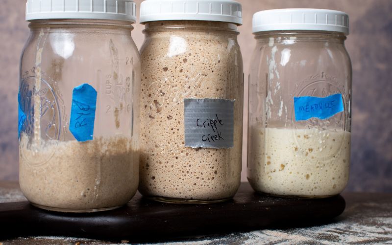 Sourdough yeast online