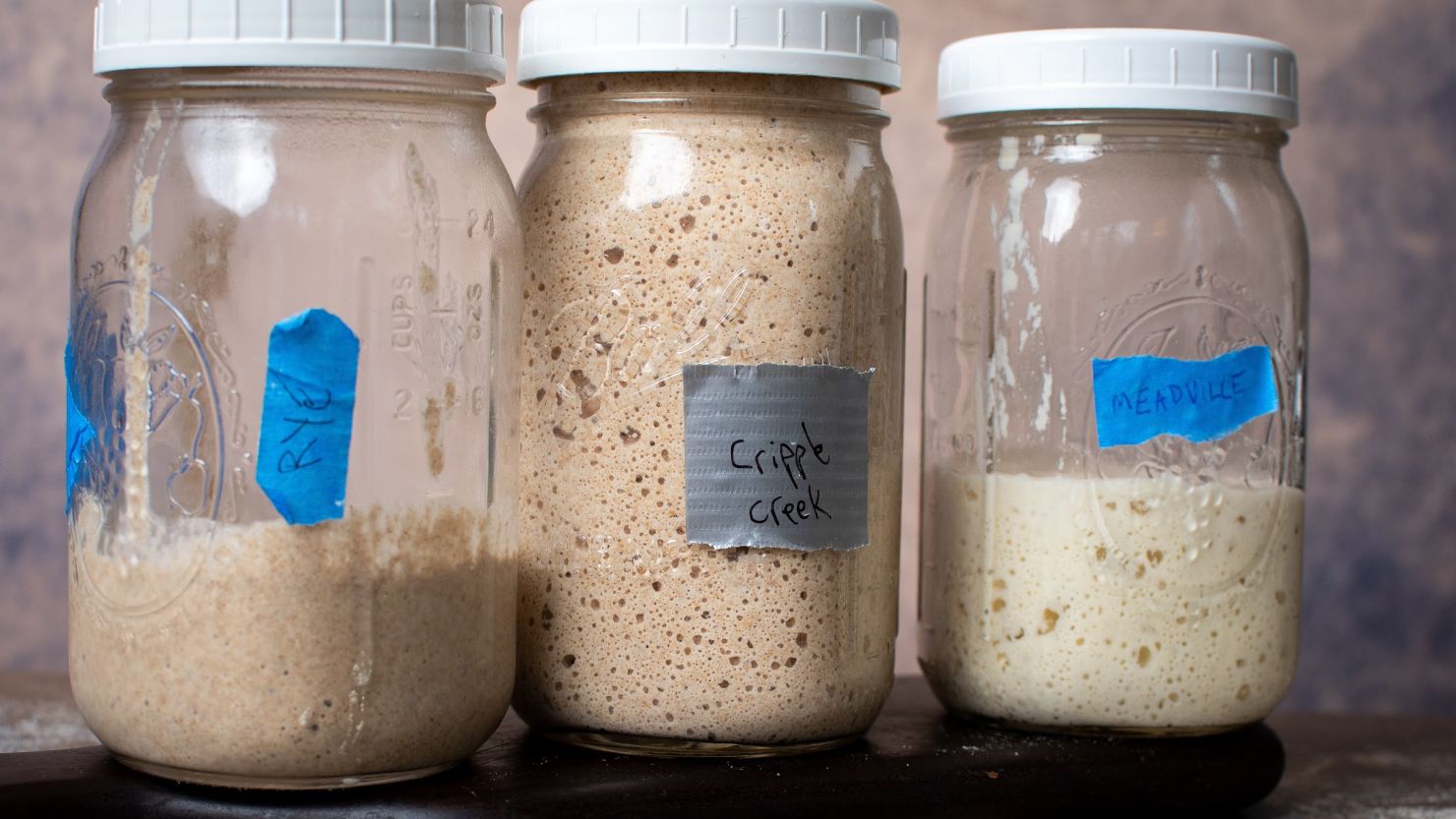 The Best Containers for Sourdough Starter of 2023