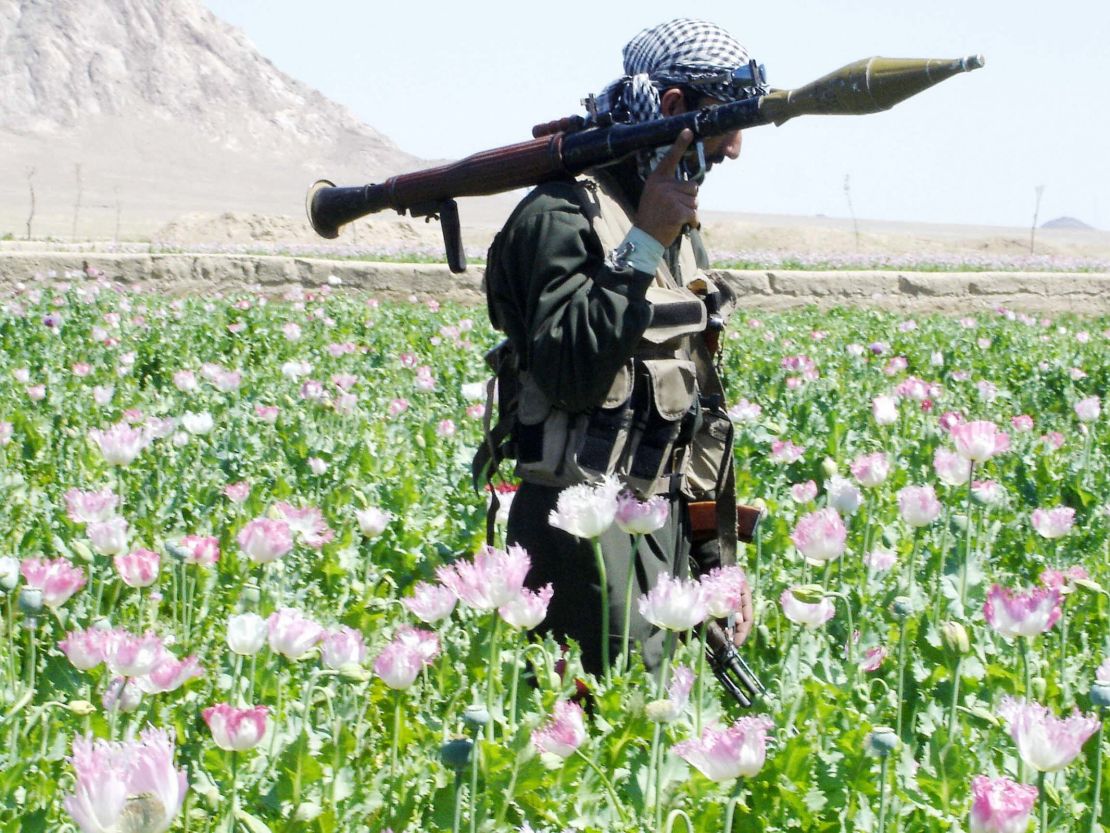 An Afghan soldier walks through a field of poppies during an eradication campaign in Kandahar province's Maiwand district in 2005.  