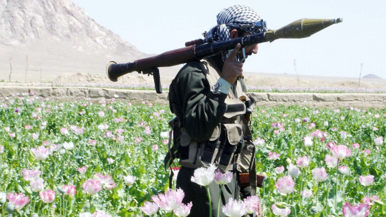 An Afghan soldier walks through a field of poppies during an eradication campaign in Kandahar province's Maiwand district in 2005.  
