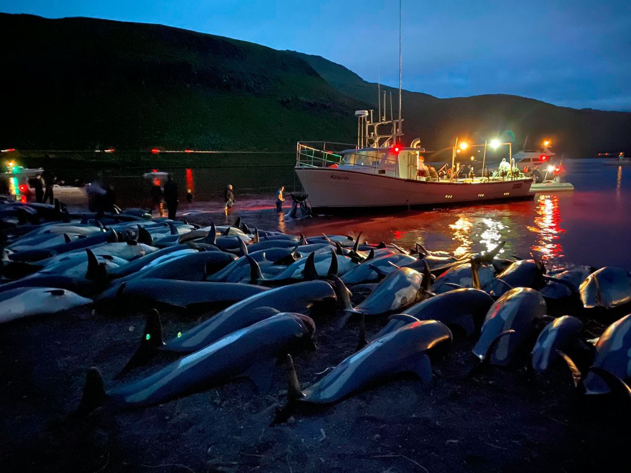 The carcasses of dead white-sided dolphins lie on a beach after being pulled from blood-stained waters on the island of Eysturoy, which is part of the Faroe Islands, on Sunday, September 12. <a href="https://www.cnn.com/2021/09/15/europe/faroe-dolphin-killing-record-scli-intl-scn/index.html" target="_blank">More than 1,400 dolphins were killed</a> in what local authorities said was a traditional whaling hunt. The killing has been denounced by marine conservation group Sea Shepherd as a "brutal and badly mishandled" massacre.