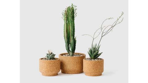 MelanieAbrantes Modern Cork Planters