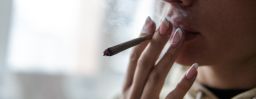 Marijuana use rose in adults but dropped in teens, according to the study.