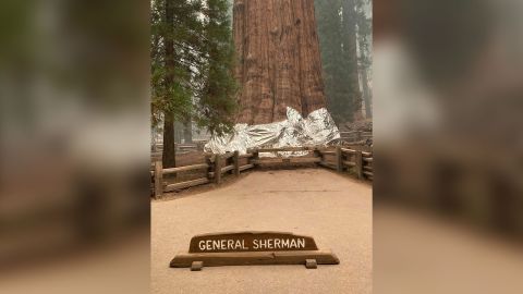 General Sherman wrapped in foil to protect it from fire.