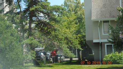 Kelly under surveillance.