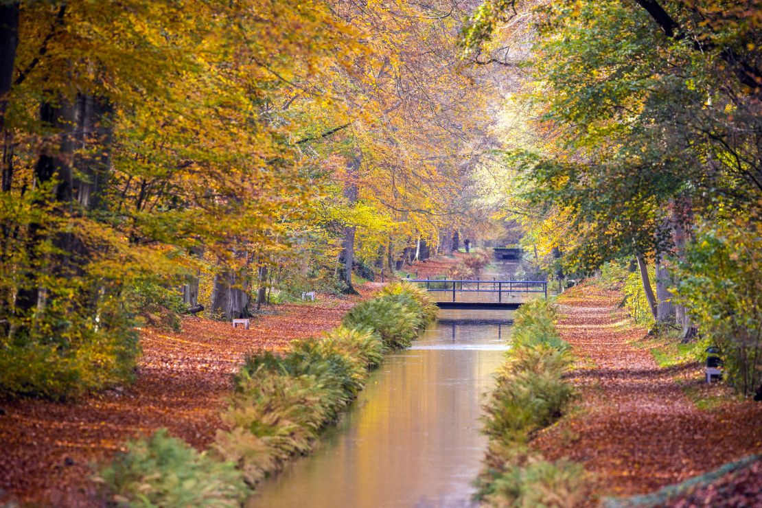 Autumn in northern Germany shows its beautiful side at the Ludwigslust Canal at  Ludwigslust Palace. This photograph was taken on November 2, 2020, which lands within astronomical fall and meteorological fall.