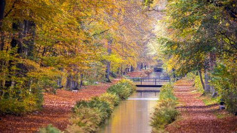Autumn in northern Germany shows its beautiful side at the Ludwigslust Canal at  Ludwigslust Palace. This photograph was taken on November 2, 2020, which lands within astronomical fall and meteorological fall.