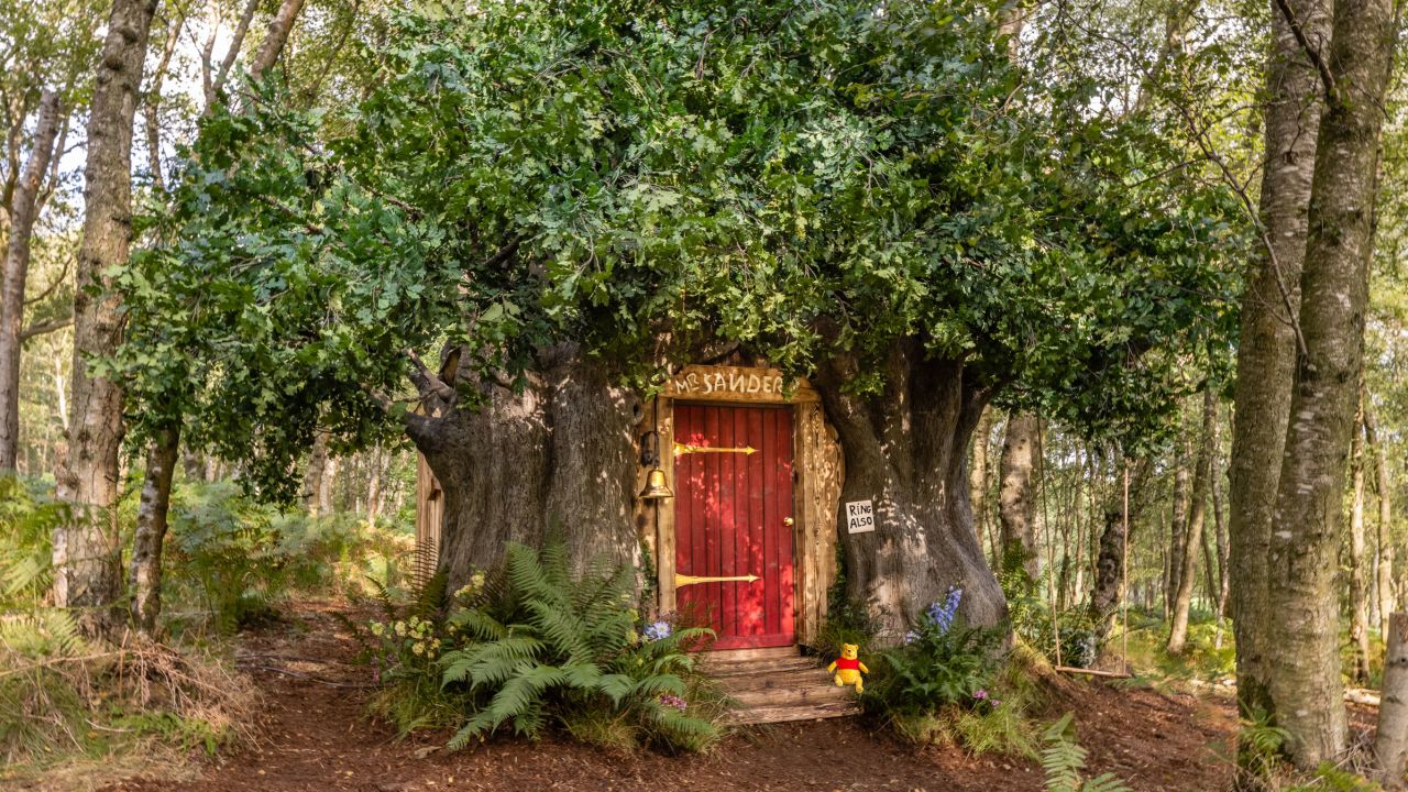 Winnie the Pooh's tree house was created to celebrate the 95th anniversary of the book character. 