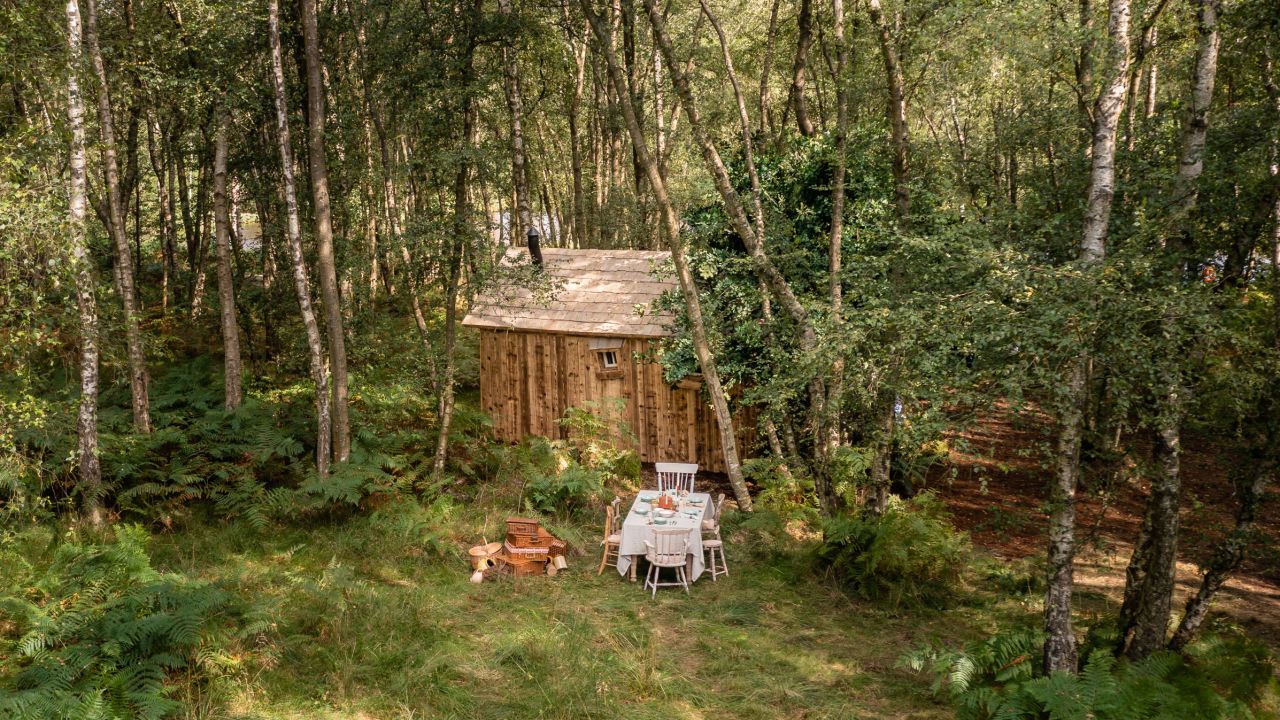 Guests will be served "hunny-inspired meals," Airbnb said.